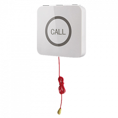 Кнопка вызова iBells 310S влагозащищенная со шнуром для МГН